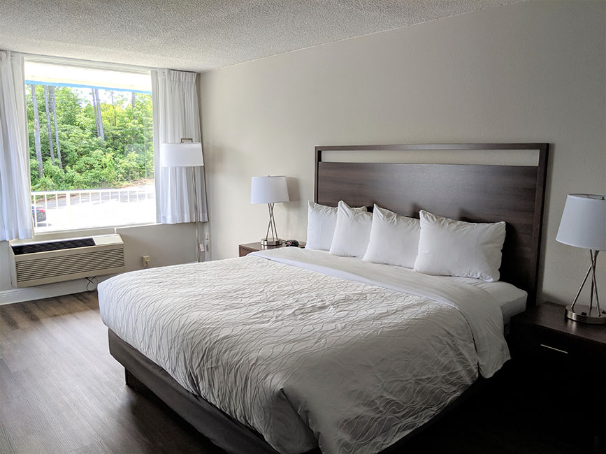 King Bed Lake Room
